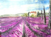 Lavendelfeld in Frankreich/Provence
