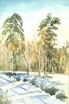 Winter im Bayerische...