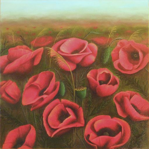 Klatschmohn
